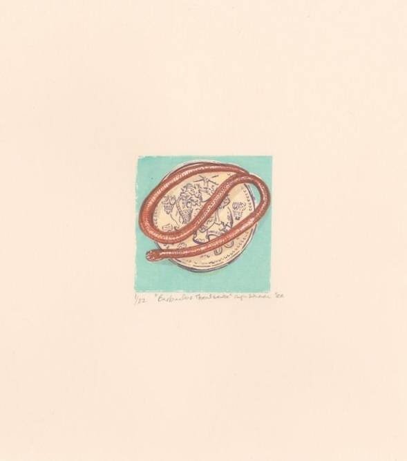 Barbados Threadsnake